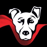 alphamediadigital.com