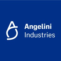 angeliniindustries.com