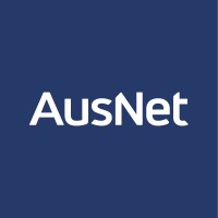 ausnetservices.com.au