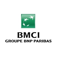 bmci.ma