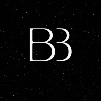 businessbrilliance.net