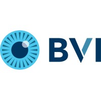 bvimedical.com