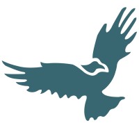 centurafx.com
