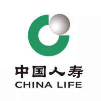 中国人寿保险(集团)公司