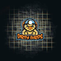 dirtybirdsbaseball.com