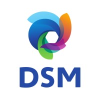 dsm.com