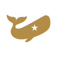 meetfellow.com