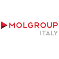 molgroupitaly.it