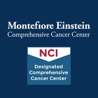 montefioreeinstein.org