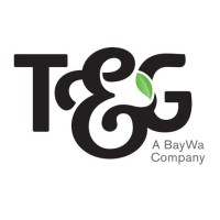 tandg.global