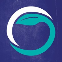 technoserve.org