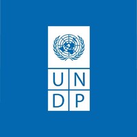 undp.org